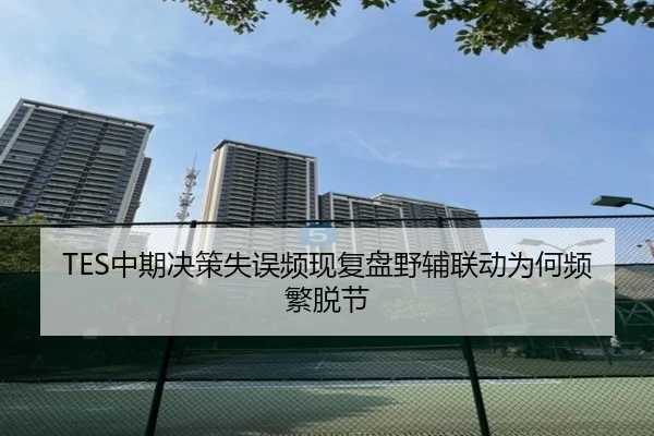 TES中期决策失误频现复盘野辅联动为何频繁脱节